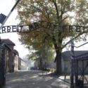 Lessons from Auschwitz: ‘Never again’ is now