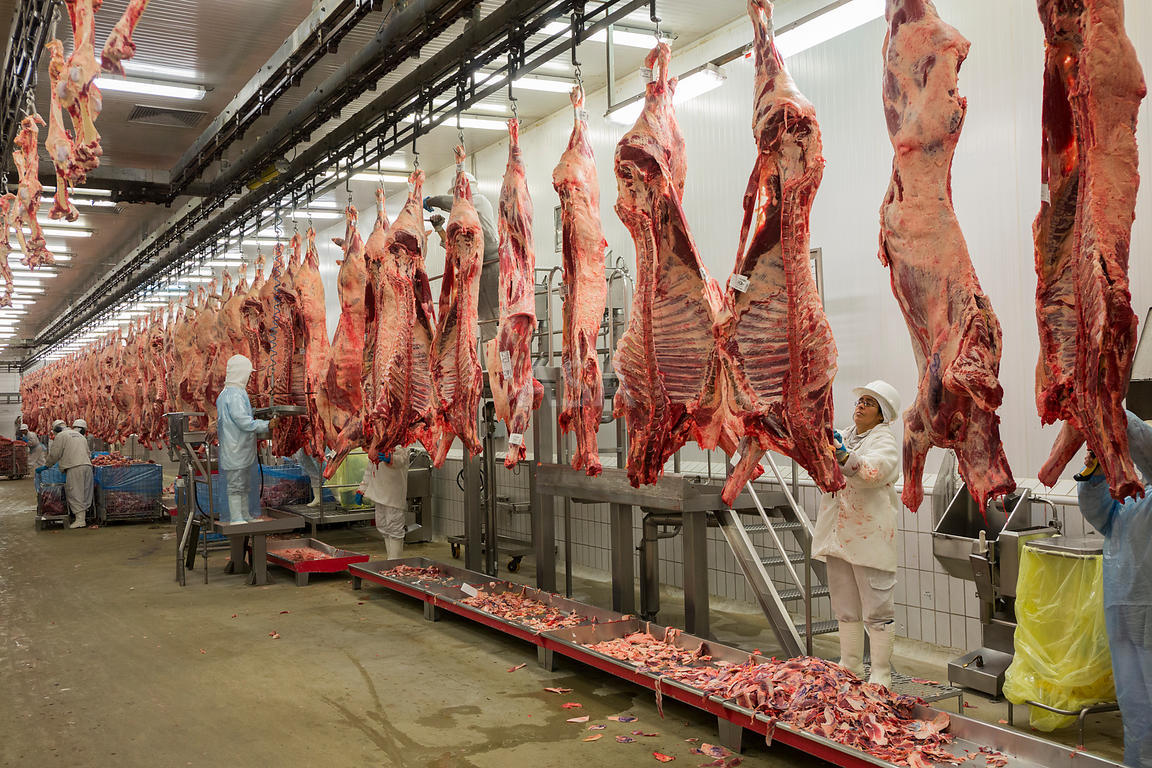 slaughtered meat hanging