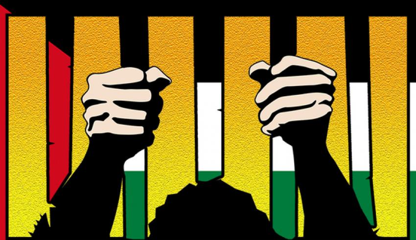 cartoon of hands on prison bars in palestinian colours