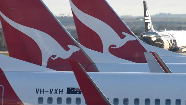 tails of Qantas planes lined up