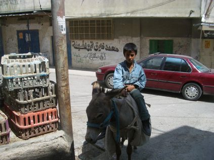 palestinian boy on a donkey in a street