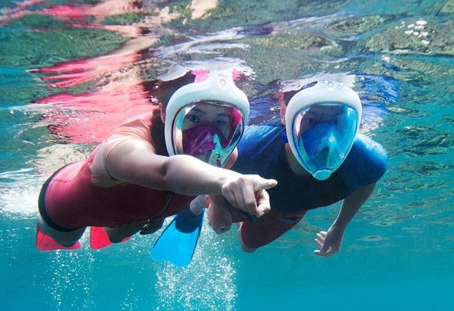 two people snorkelling with face masks on