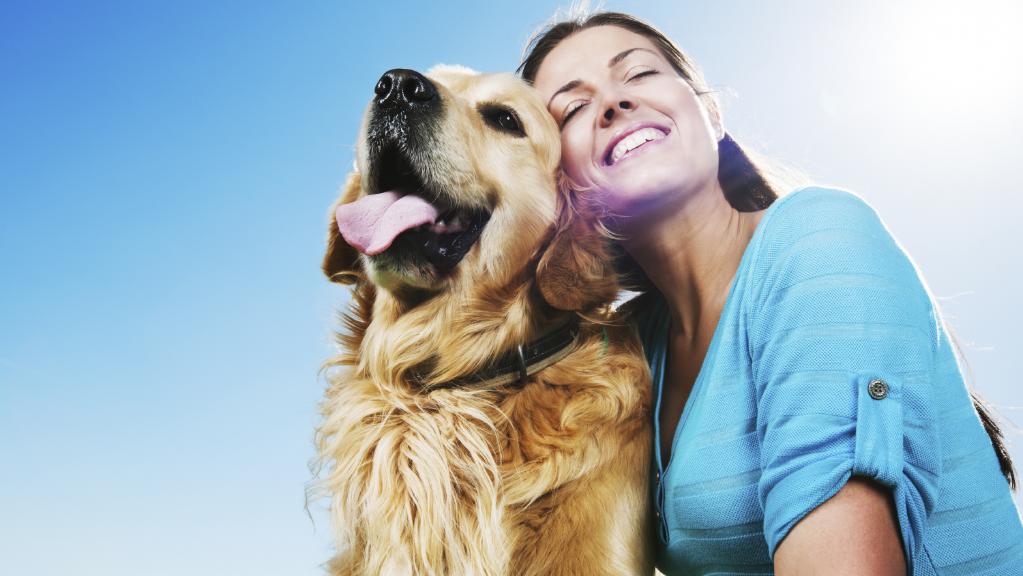 stock photo of woman and dog