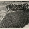 New exhibition explores photographs from the British Mandate for Palestine