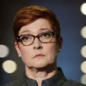 ‘Don’t throw us out’: Australia pleads to stay in Iraq but plans for the worst