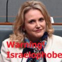 Melissa Parke successfully settles defamation case against pro-Israeli commentator