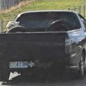 Tasmanian urged to report Nazi imagery as more graffiti and symbols spotted around Launceston