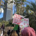 Protesters rally for Palestine at Hyde Park in second Sydney protest