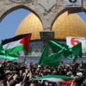 Palestinians are fighting back and they need our solidarity