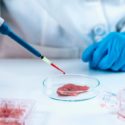 Israel opens first lab-grown meat factory in the world